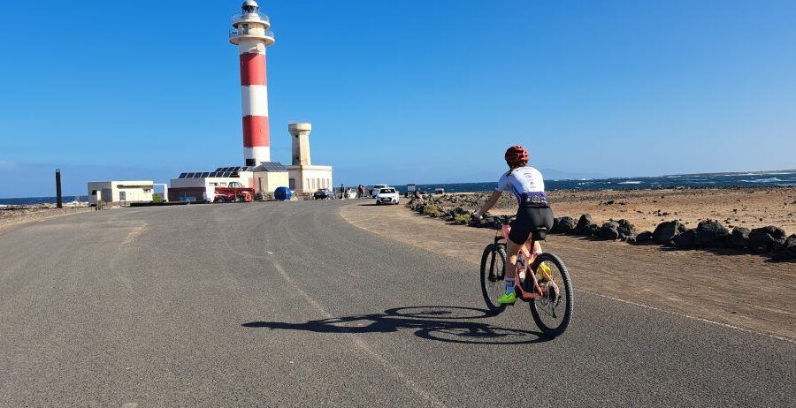 faro el toston