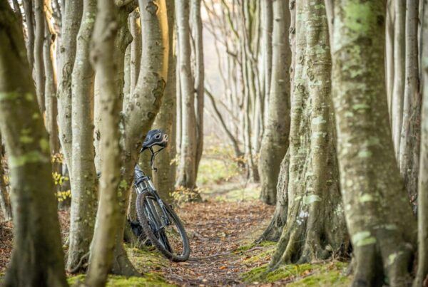 beneficios ciclismo
