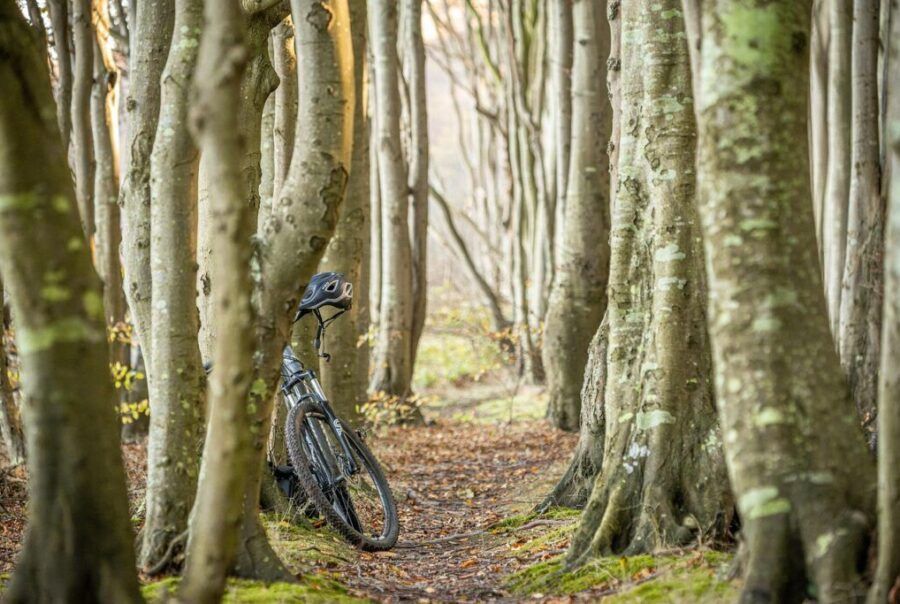 beneficios ciclismo